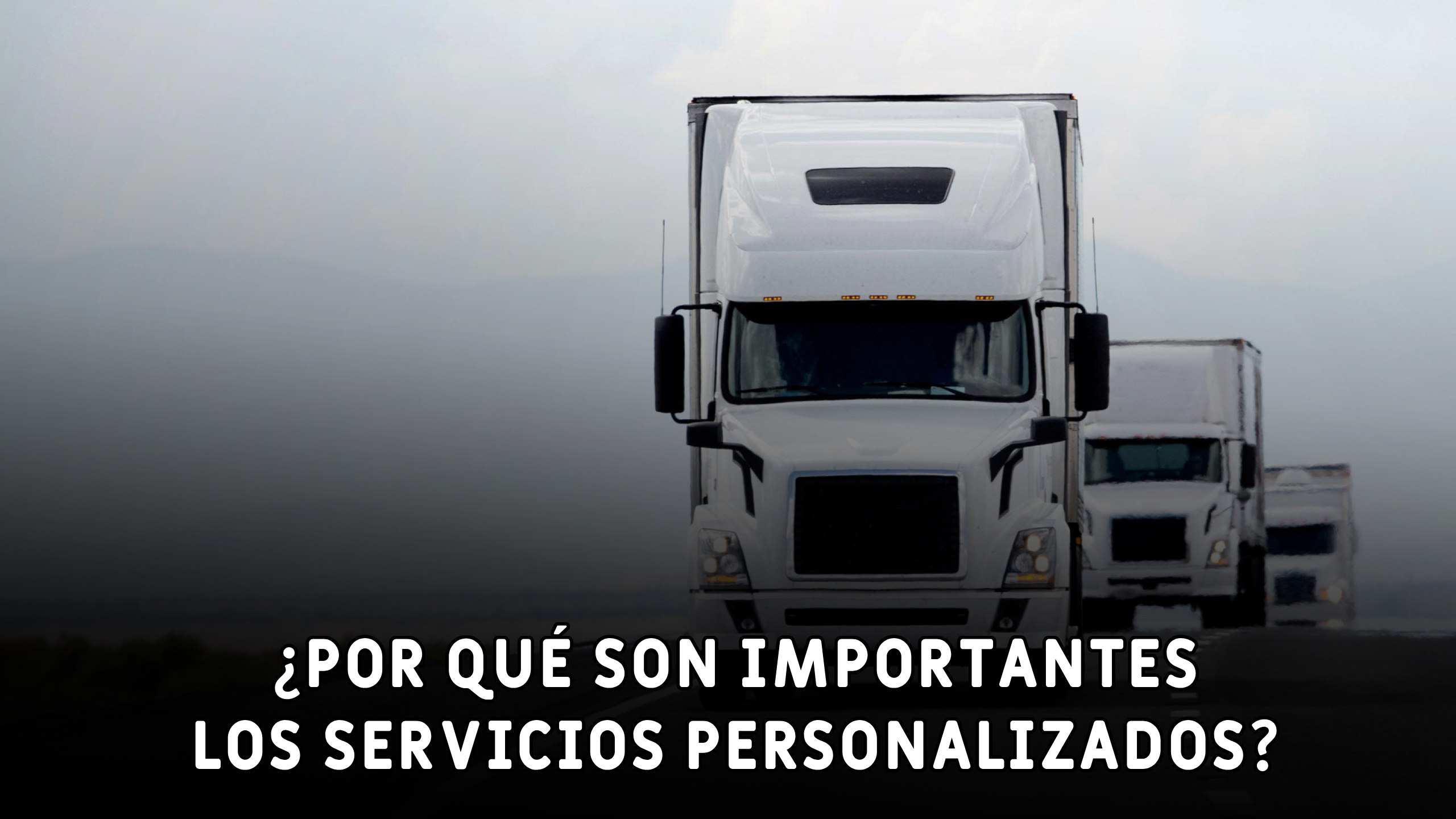 ¿Por qué son importantes los servicios personalizados?